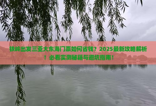 铁岭出发三亚大东海门票