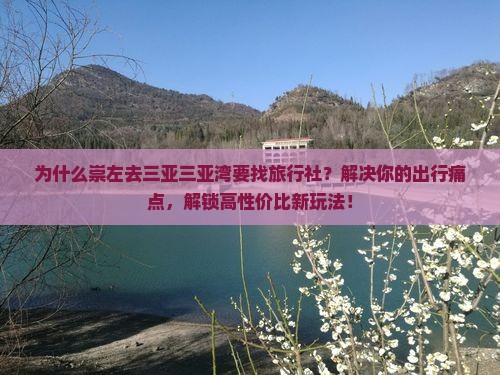 崇左前往三亚三亚湾旅行社