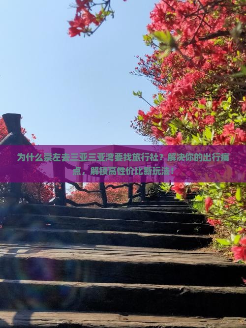 崇左前往三亚三亚湾旅行社