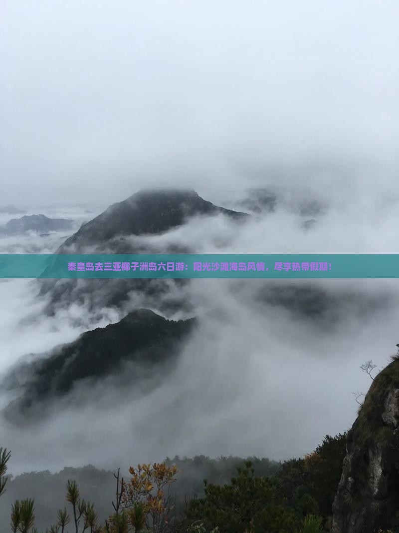 秦皇岛去三亚椰子洲岛六日游