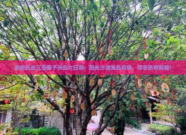 秦皇岛去三亚椰子洲岛六日游