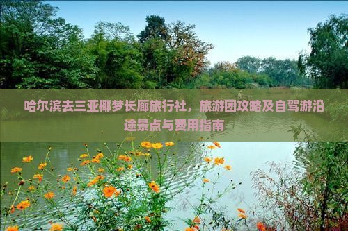 哈尔滨去三亚椰梦长廊旅行社