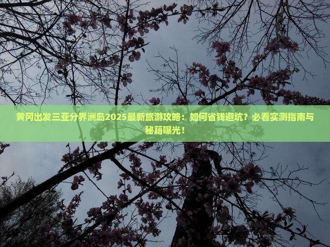黄冈出发三亚分界洲岛旅行社