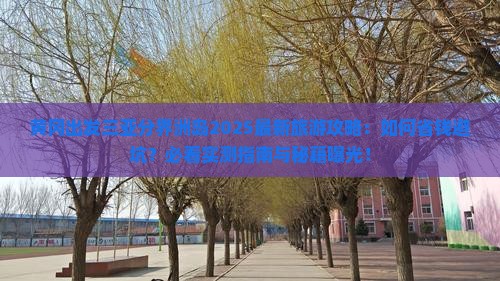 黄冈出发三亚分界洲岛旅行社