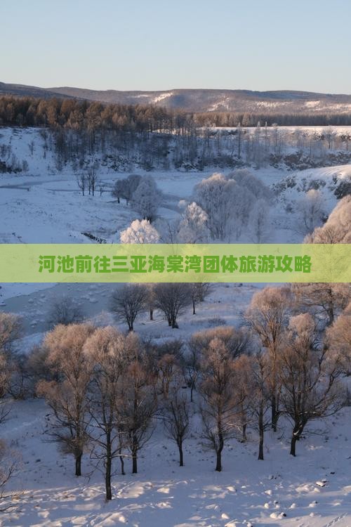 河池前往三亚海棠湾团体旅游