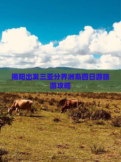 揭阳出发三亚分界洲岛四日游