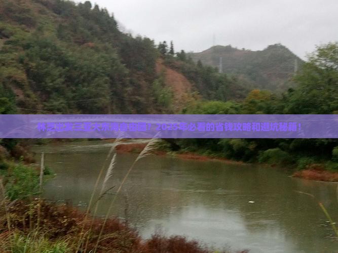 林芝出发三亚大东海自由团