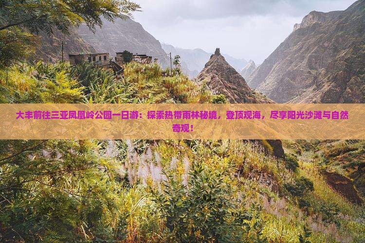 大丰前往三亚凤凰岭公园一日游