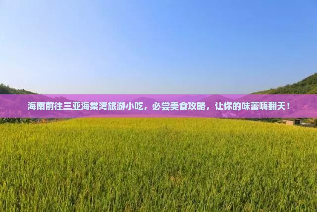 海南前往三亚海棠湾旅游小吃
