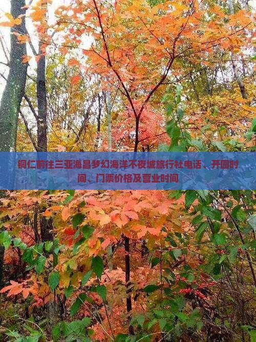 铜仁前往三亚海昌梦幻海洋不夜城旅行社