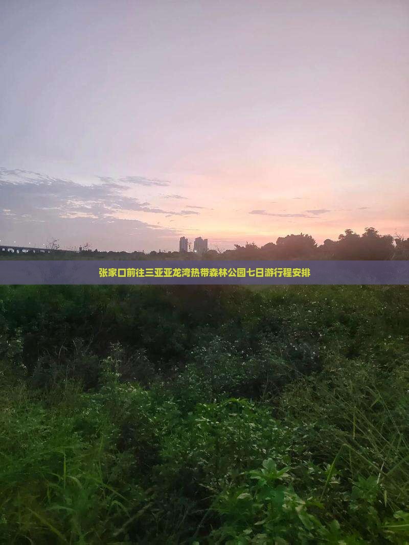 张家口前往三亚亚龙湾热带森林公园七日游