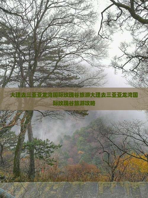 大理去三亚亚龙湾国际玫瑰谷旅游
