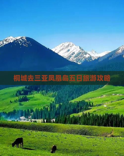 桐城去三亚凤凰岛五日游