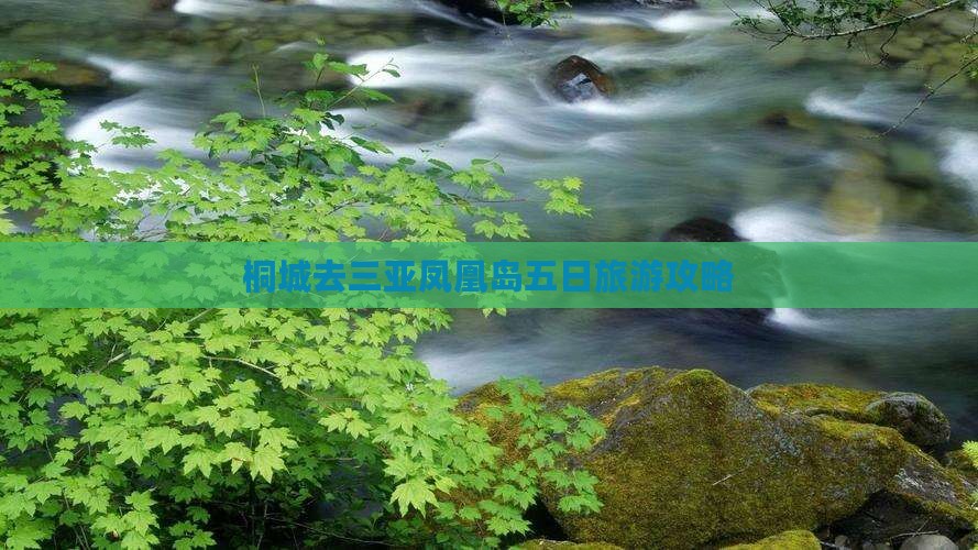 桐城去三亚凤凰岛五日游