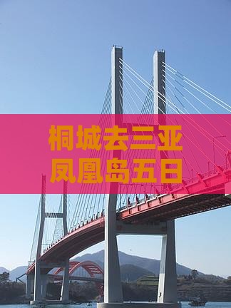 桐城去三亚凤凰岛五日游