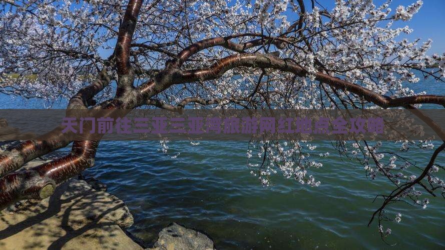 天门前往三亚三亚湾旅游网红地点