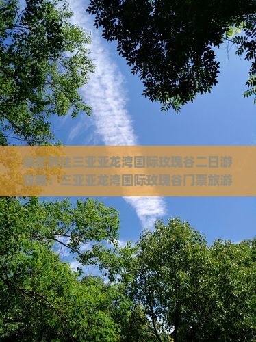 崇左前往三亚亚龙湾国际玫瑰谷二日游