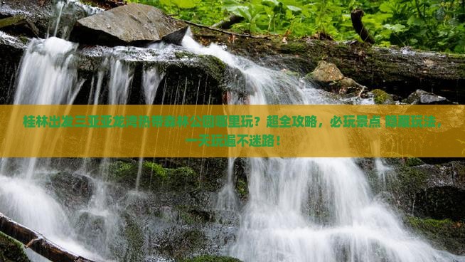 桂林出发三亚亚龙湾热带森林公园哪里玩