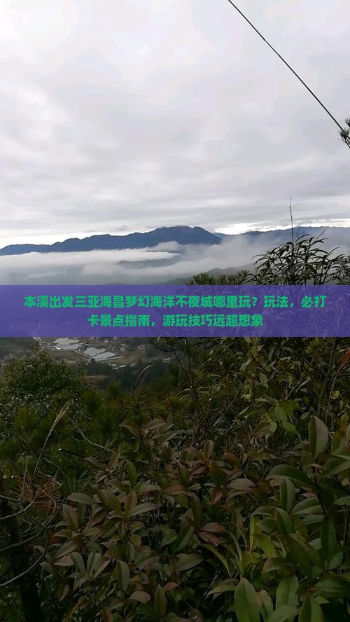 本溪出发三亚海昌梦幻海洋不夜城哪里玩