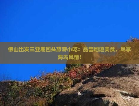 佛山出发三亚鹿回头旅游小吃