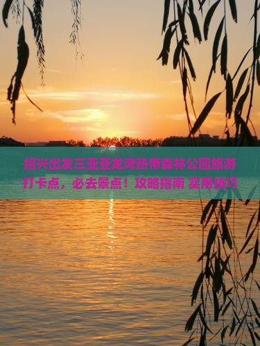 绍兴出发三亚亚龙湾热带森林公园旅游打卡点