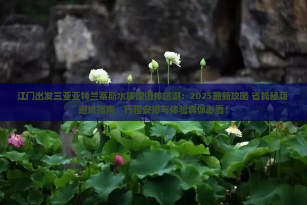 江门出发三亚亚特兰蒂斯水族馆团体旅游 江门出发三亚亚特兰蒂斯水族馆团体旅游