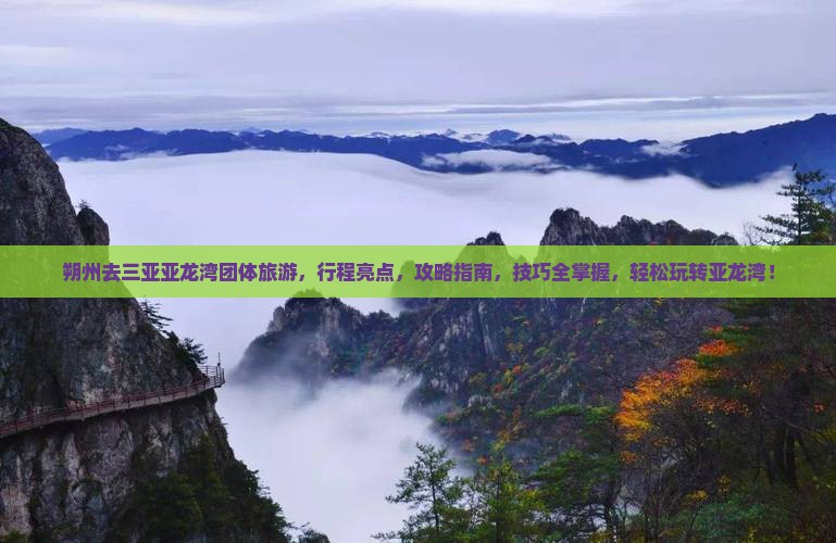 朔州去三亚亚龙湾团体旅游