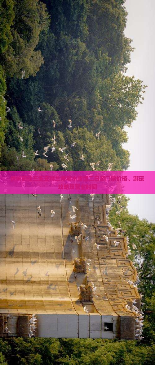铁岭前往三亚亚特兰蒂斯水族馆二日游