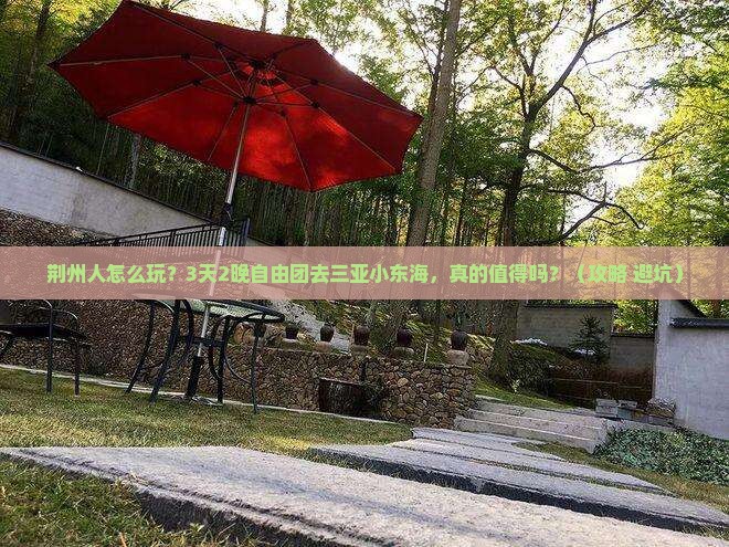 荆州前往三亚小东海自由团