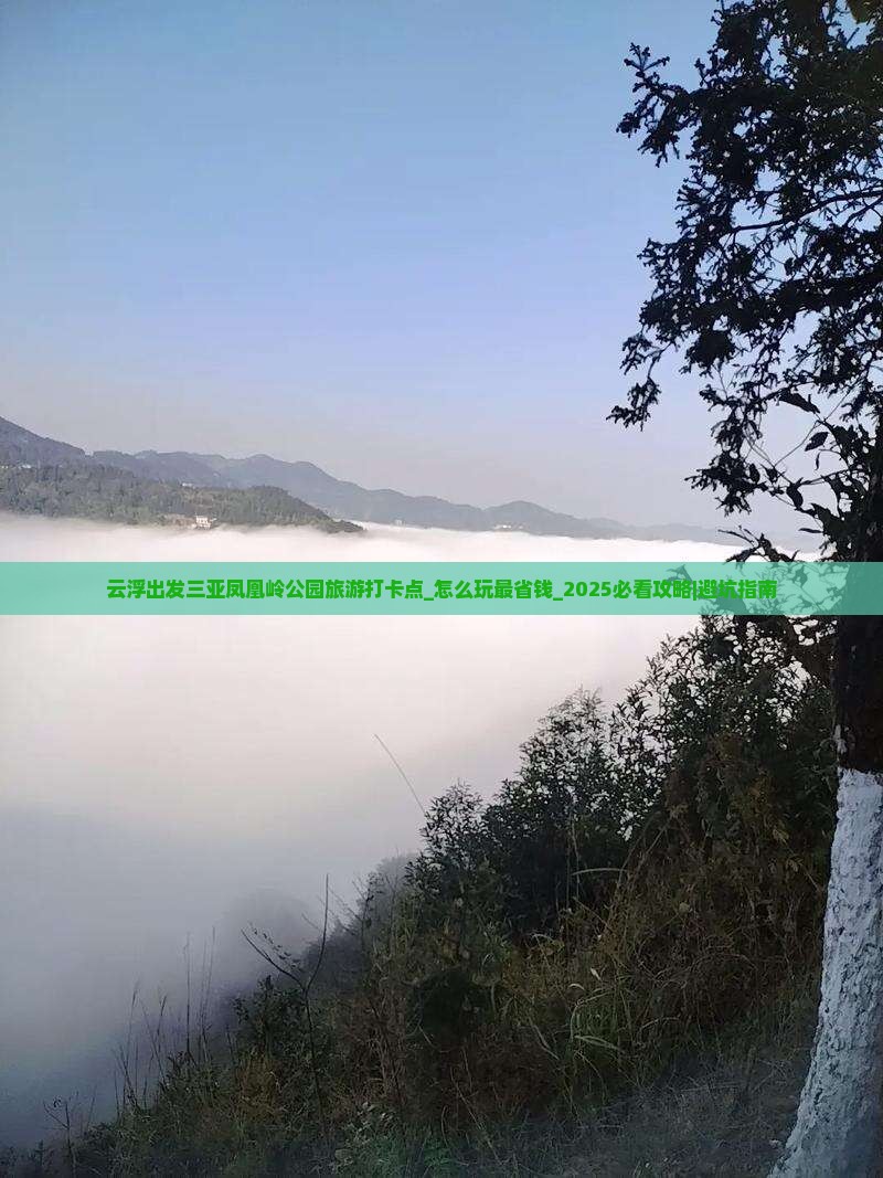 云浮出发三亚凤凰岭公园旅游打卡点