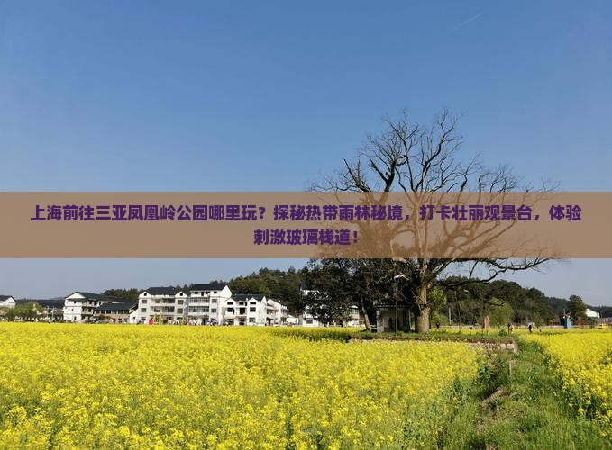上海前往三亚凤凰岭公园哪里玩