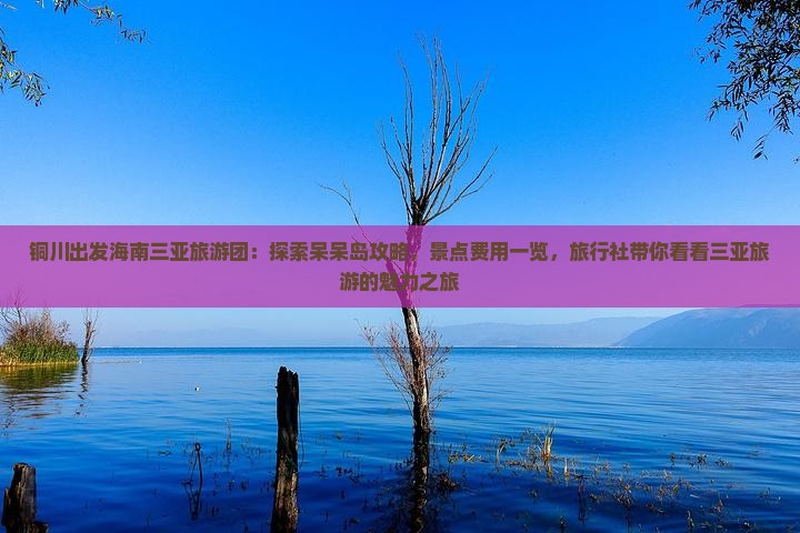 铜川出发海南三亚旅游团：探索呆呆岛攻略，景点费用一览，旅行社带你看看三亚旅游的魅力之旅