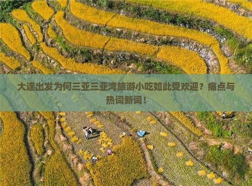 大连出发为何三亚三亚湾旅游小吃如此受欢迎？痛点与热词新词！
