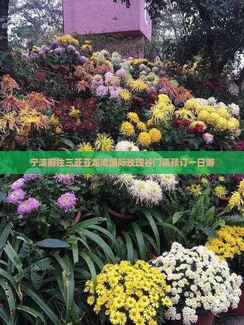 宁波前往三亚亚龙湾国际玫瑰谷门票预订一日游