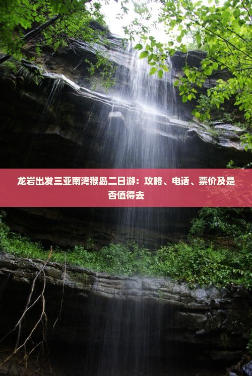 龙岩出发三亚南湾猴岛二日游：攻略、电话、票价及是否值得去