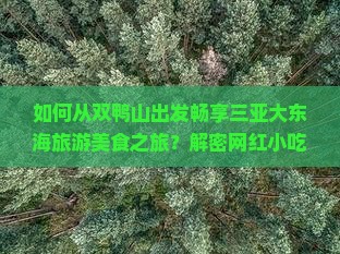 如何从双鸭山出发畅享三亚大东海旅游美食之旅？解密网红小吃痛点！