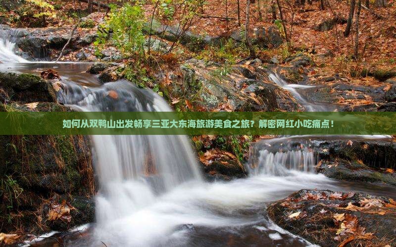 如何从双鸭山出发畅享三亚大东海旅游美食之旅？解密网红小吃痛点！