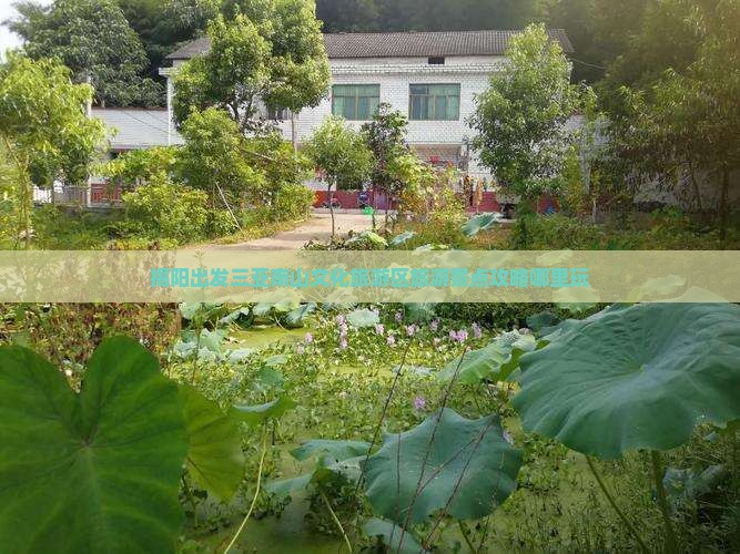 揭阳出发三亚南山文化旅游区旅游景点攻略哪里玩