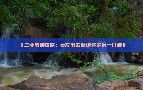 《三亚旅游攻略：崇左出发呀诺达景区一日游》