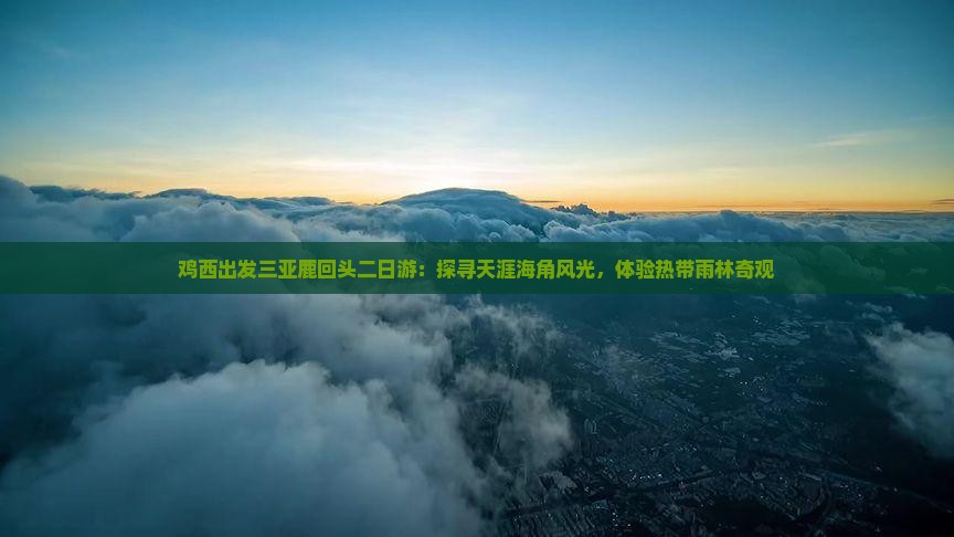 鸡西出发三亚鹿回头二日游：探寻天涯海角风光，体验热带雨林奇观