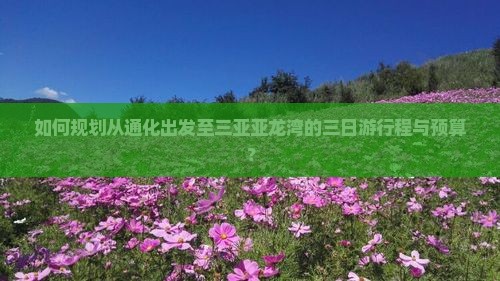 如何规划从通化出发至三亚亚龙湾的三日游行程与预算？