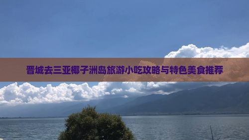 晋城去三亚椰子洲岛旅游小吃攻略与特色美食推荐