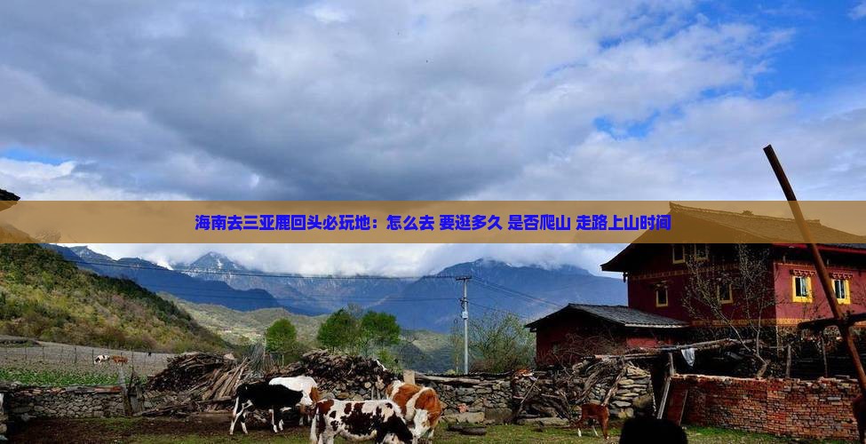 海南去三亚鹿回头必玩地：怎么去+要逛多久+是否爬山+走路上山时间
