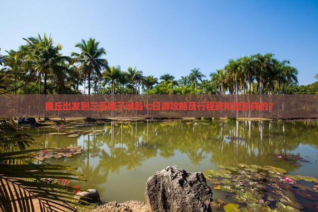 商丘出发到三亚椰子洲岛七日游攻略及行程安排是怎样的？