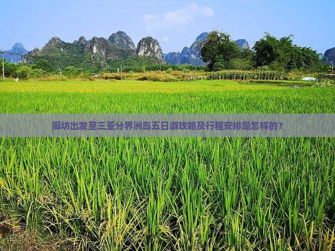 廊坊出发至三亚分界洲岛五日游攻略及行程安排是怎样的？