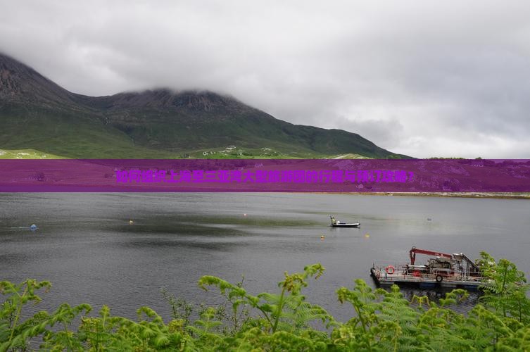 如何组织上海至三亚湾大型旅游团的行程与预订攻略？
