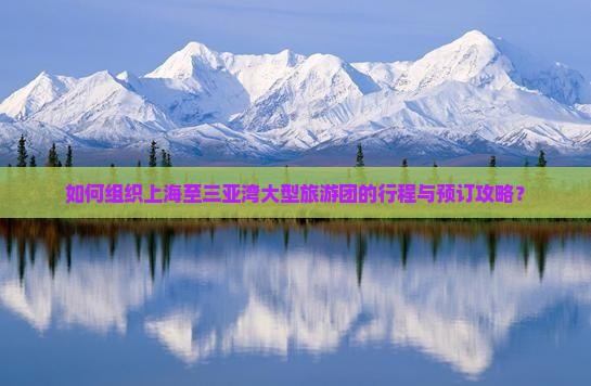 如何组织上海至三亚湾大型旅游团的行程与预订攻略？