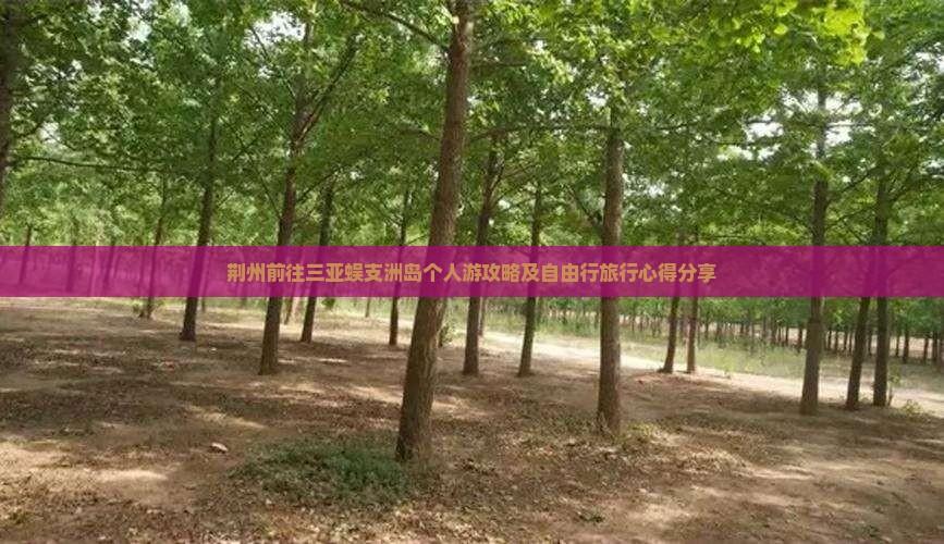 荆州前往三亚蜈支洲岛个人游攻略及自由行旅行心得分享