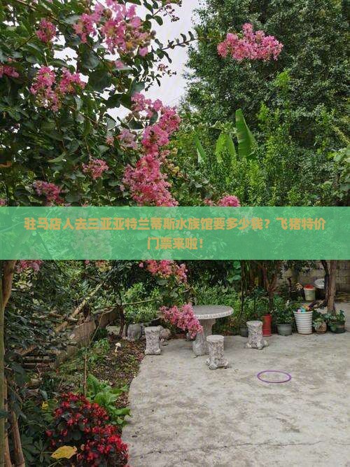 驻马店人去三亚亚特兰蒂斯水族馆要多少钱？飞猪特价门票来啦！