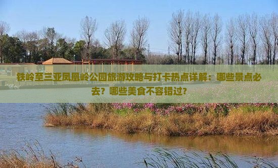 铁岭至三亚凤凰岭公园旅游攻略与打卡热点详解：哪些景点必去？哪些美食不容错过？
